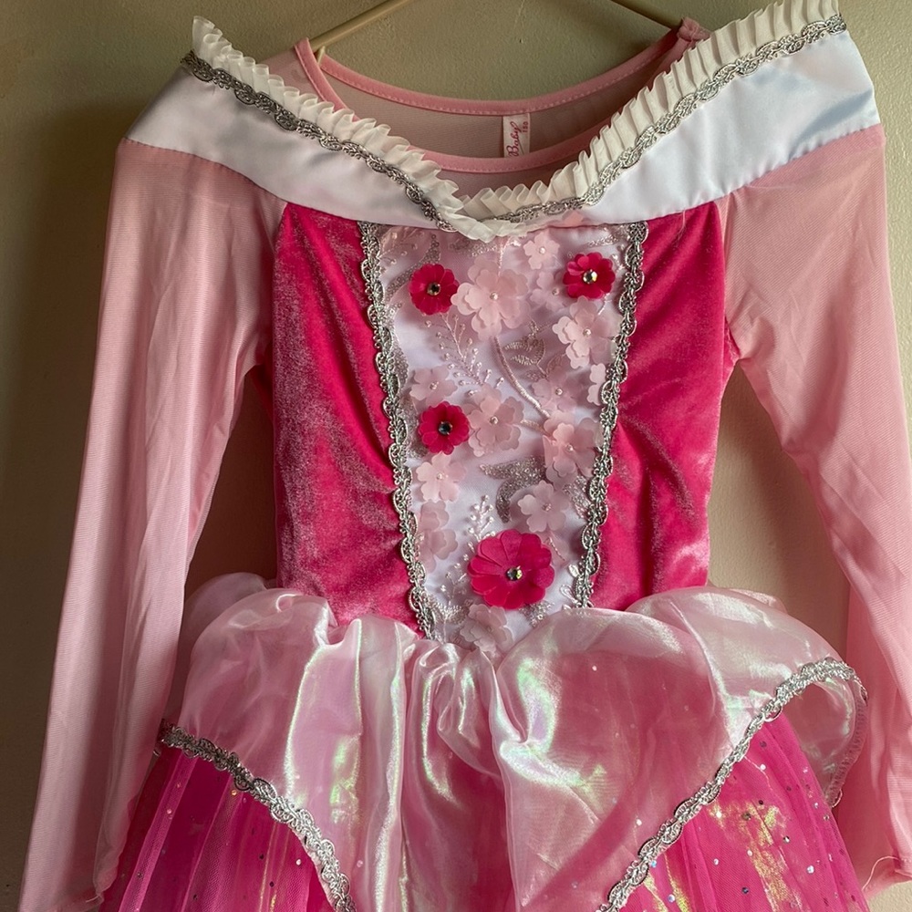 Aurora princess dress size 10/12